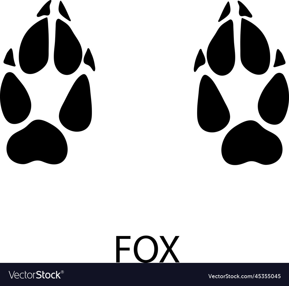 Fox foot print on white background