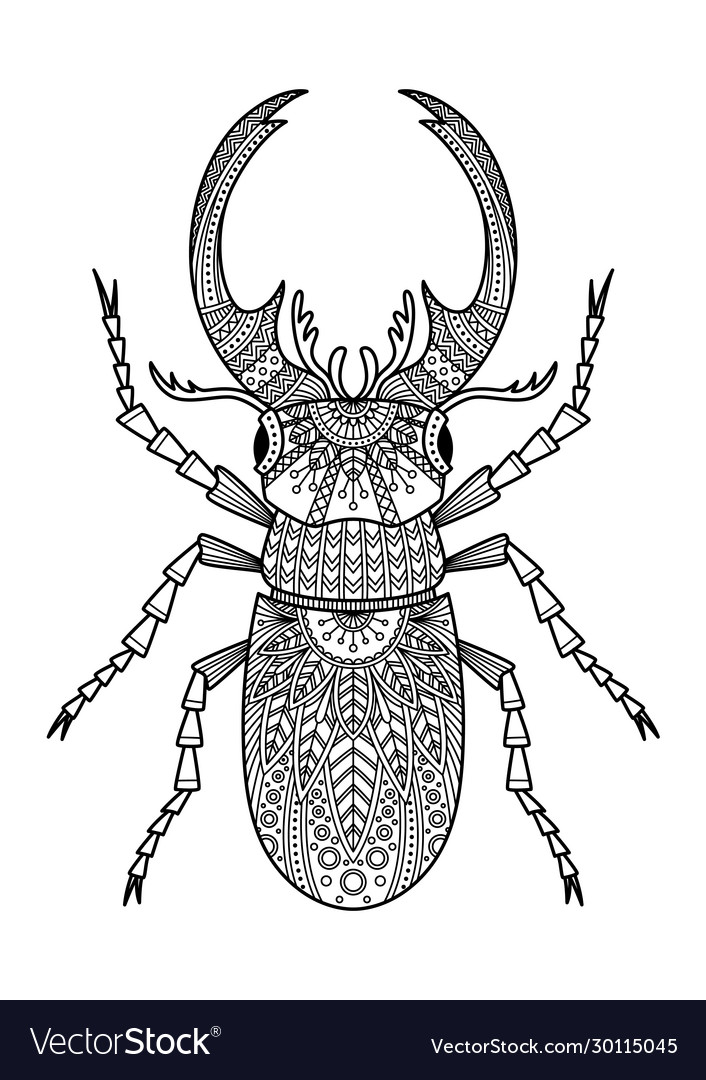 Download Stag Beetle Anti Tress Doodle Coloring Book Page Vector Image