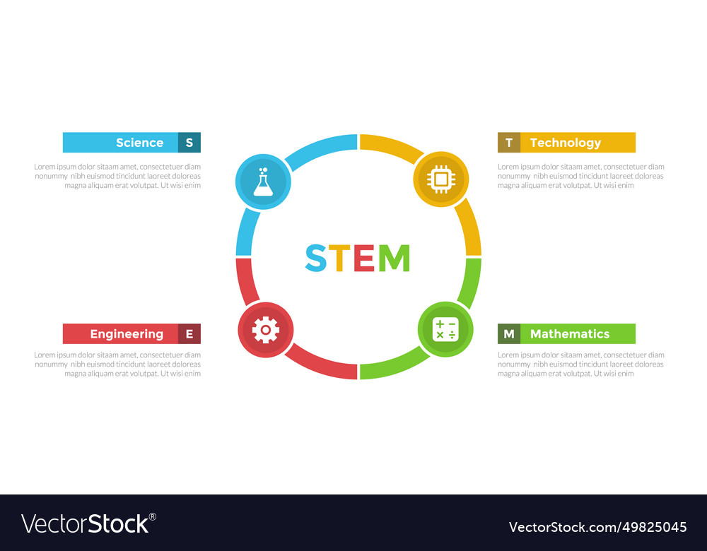 Stem education infographics template diagram with Vector Image