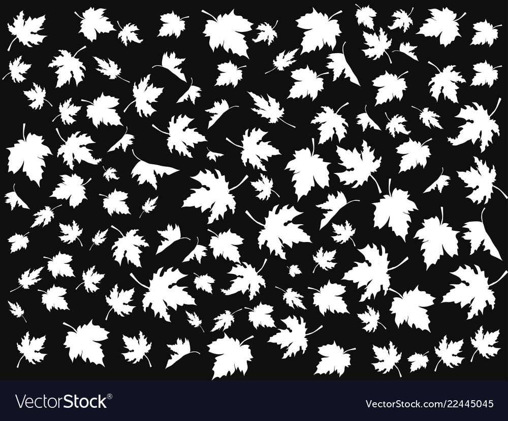White maple seamless patterns on black background vector image White maple seamless patterns on black background