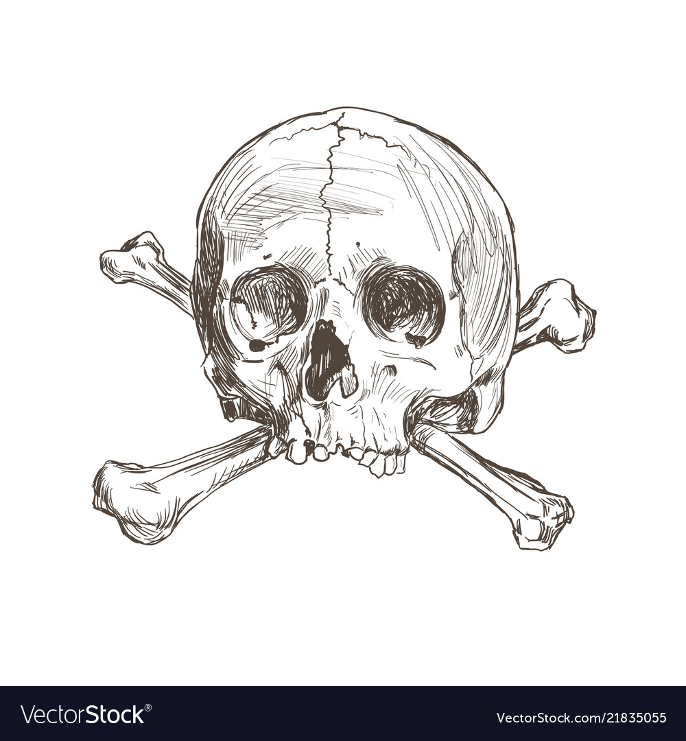 Skull and Bones