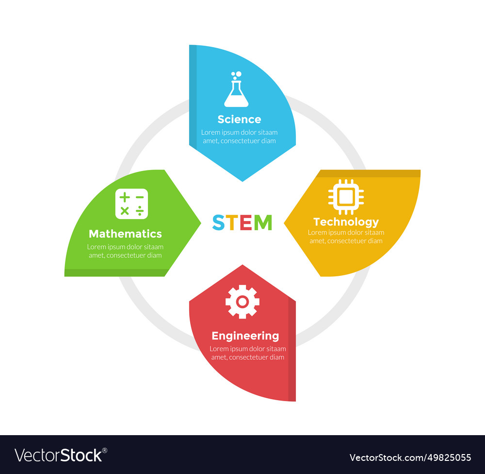 Stem education infographics template diagram with Vector Image