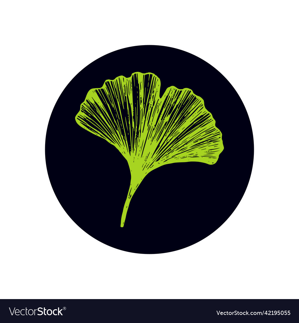 With ginkgo biloba leaf on a round dark Royalty Free Vector