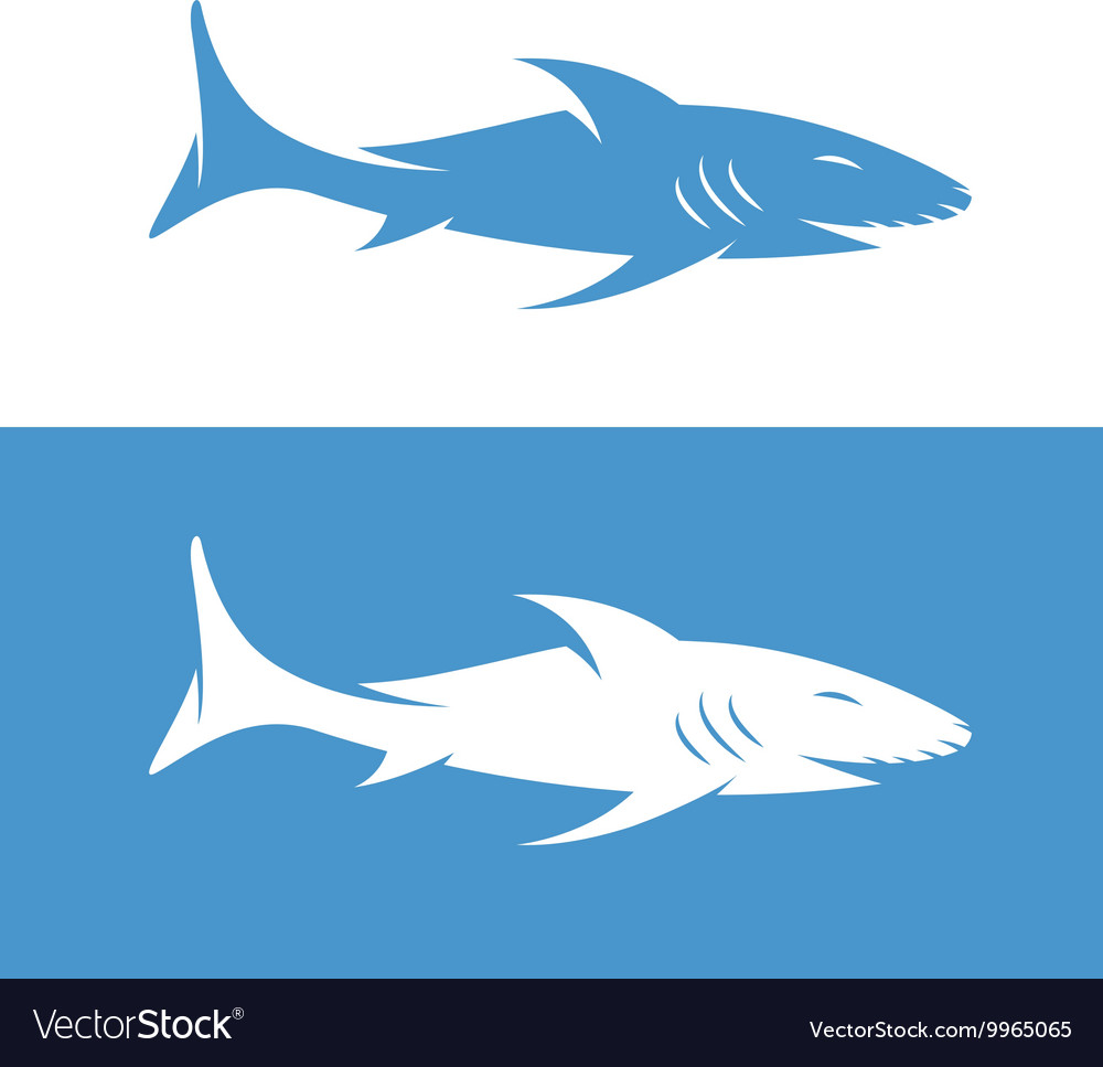 Design template of the abstract shark