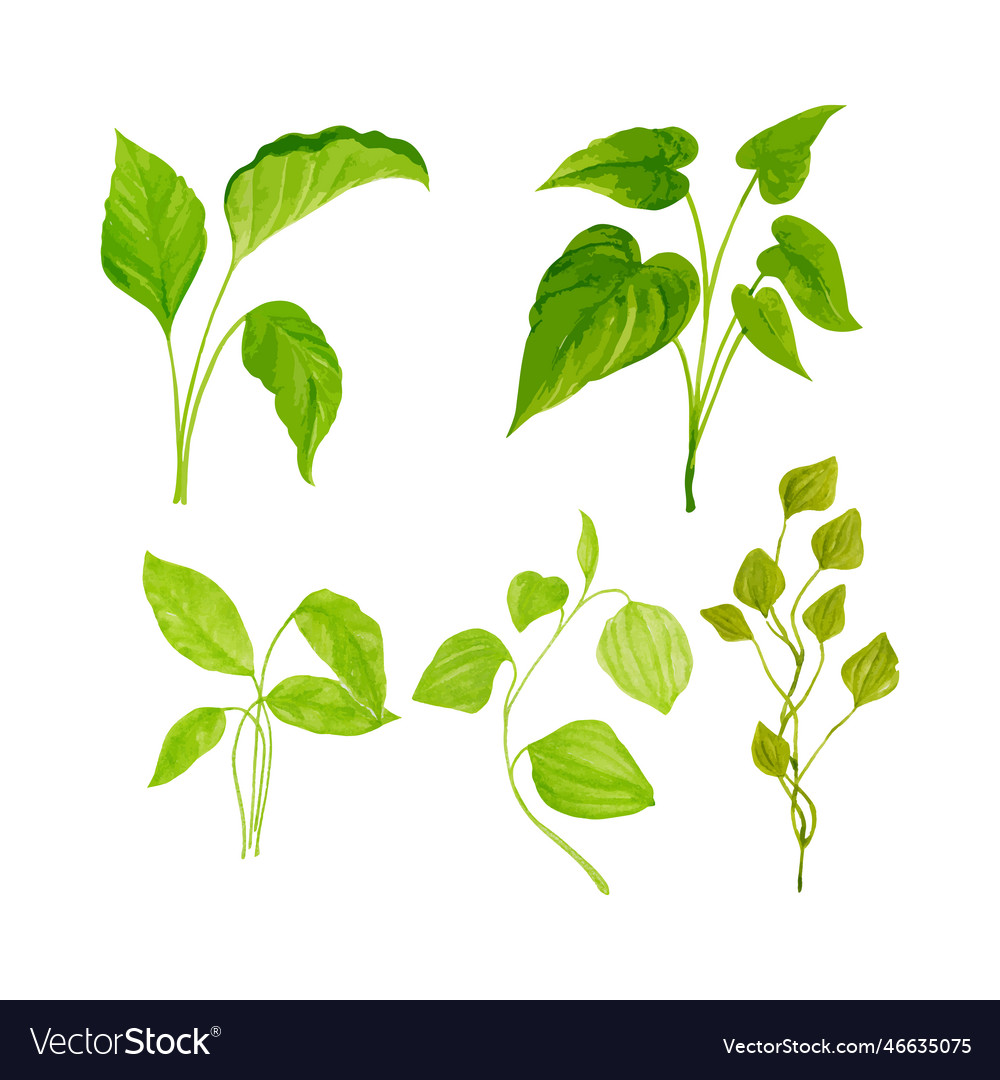 Art Royalty Free Vector Image - VectorStock