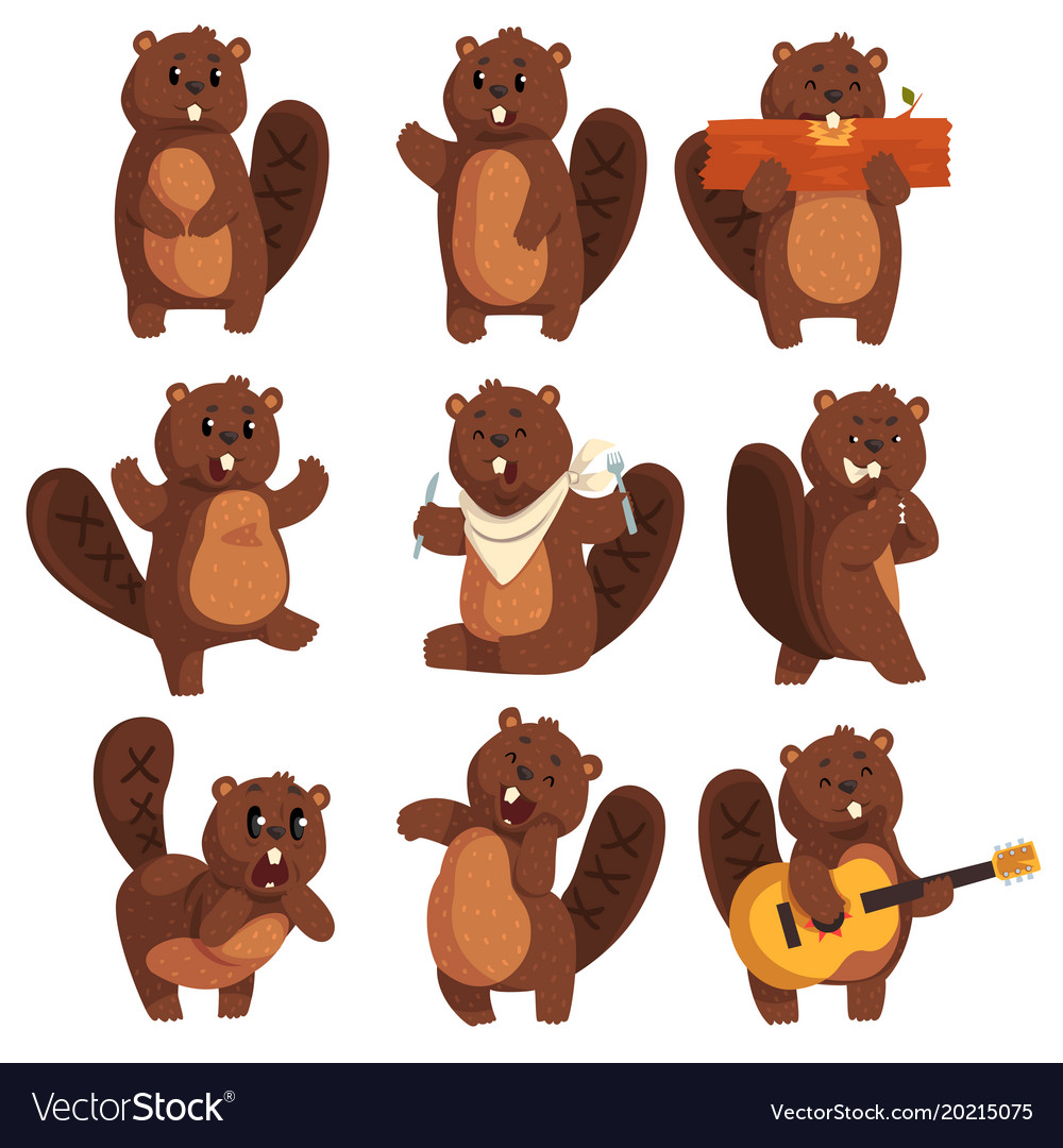 Cute funny character beaver in different actions