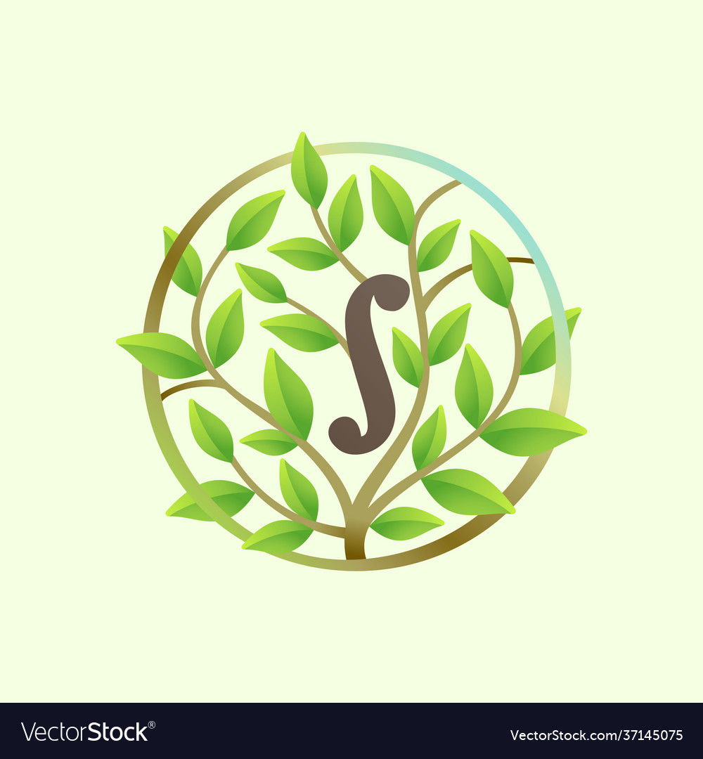 Letter i logo made twisted tree branches vector image Letter i logo made twisted tree branches