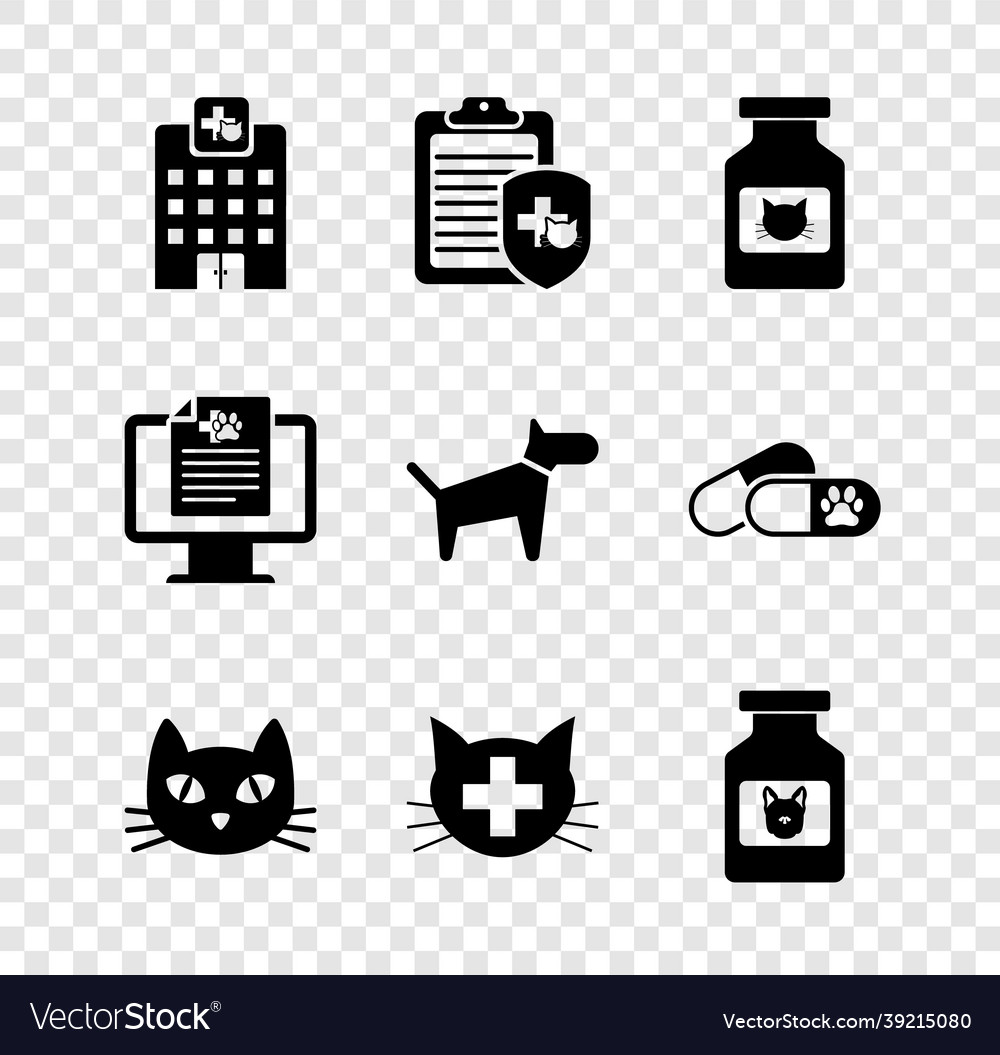 Set veterinary medicine hospital clinical record