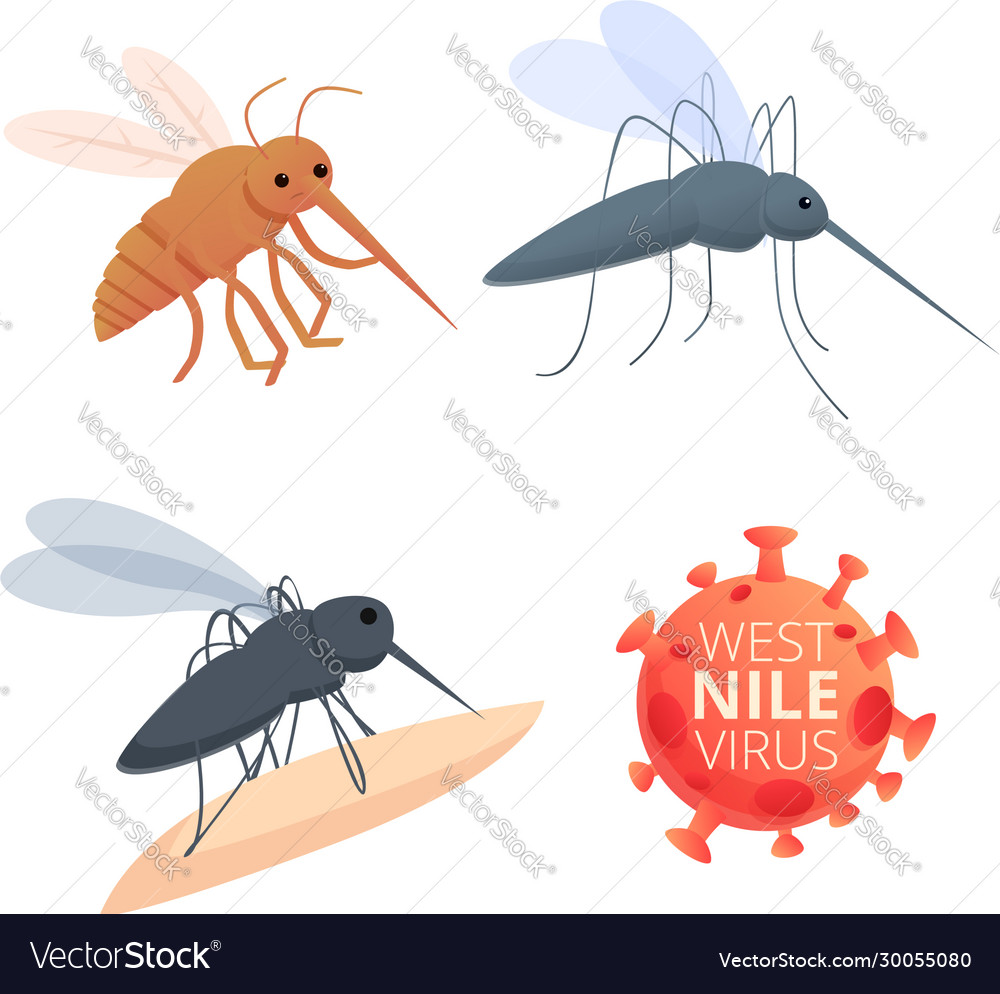 West nile virus icons set cartoon style Royalty Free Vector