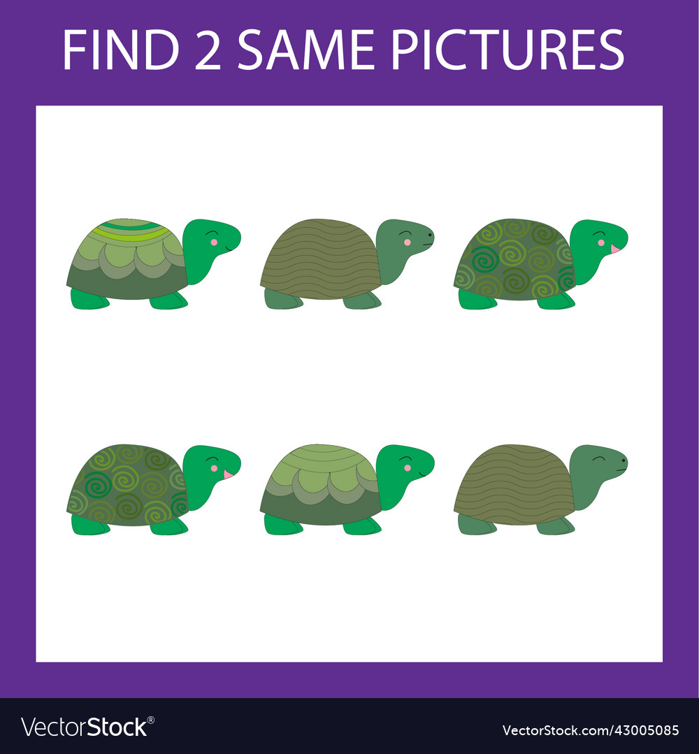 Web vector image Web