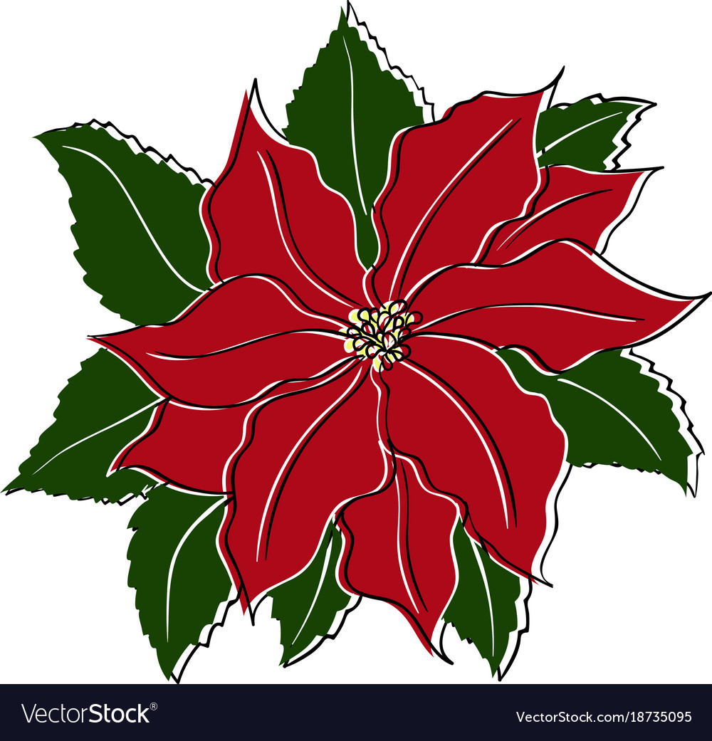 Poinsettia in vintage retro style for your Vector Image