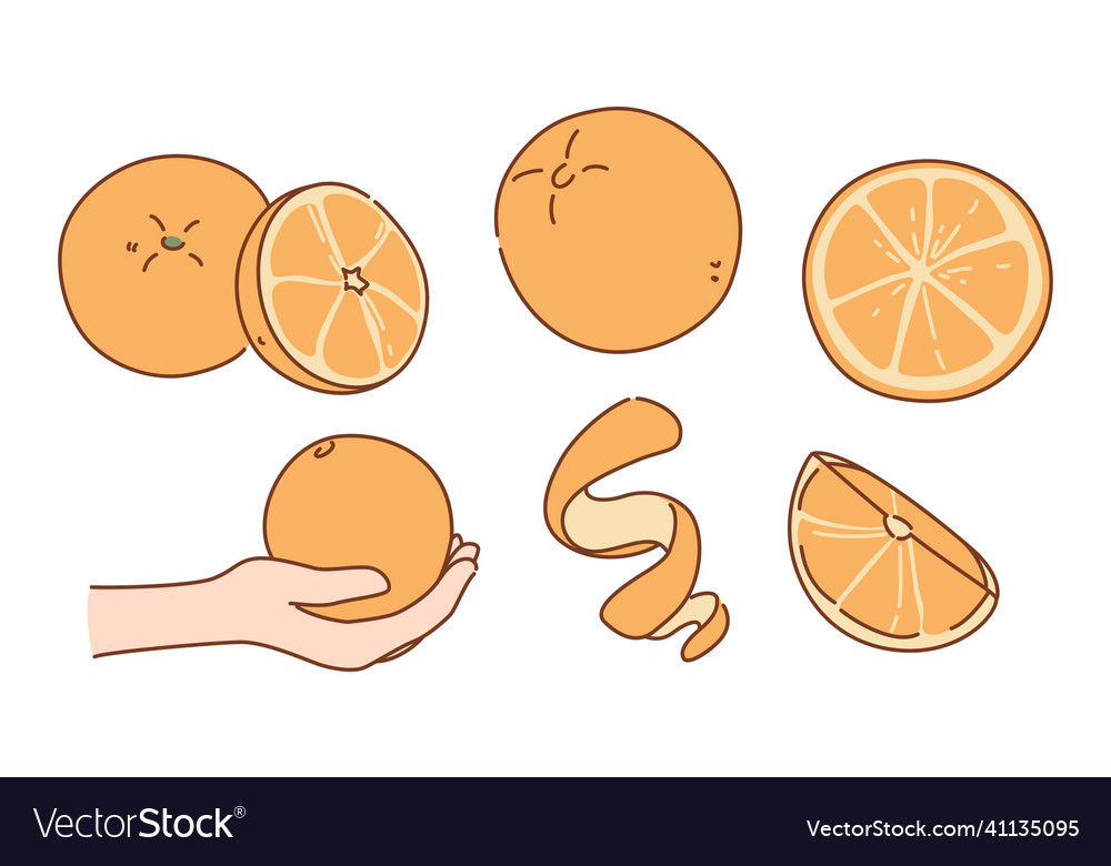 Set of fresh natural juicy oranges