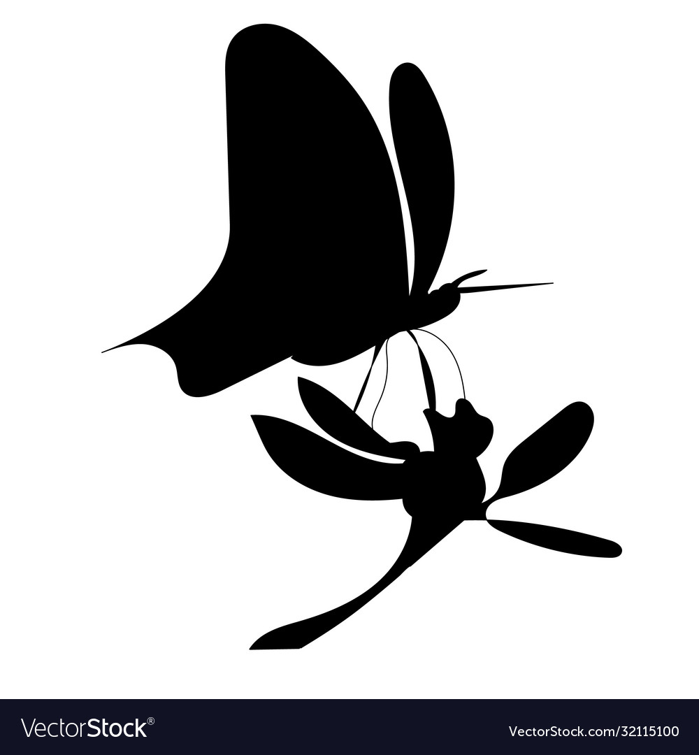 Black silhouette a flower and butterfly