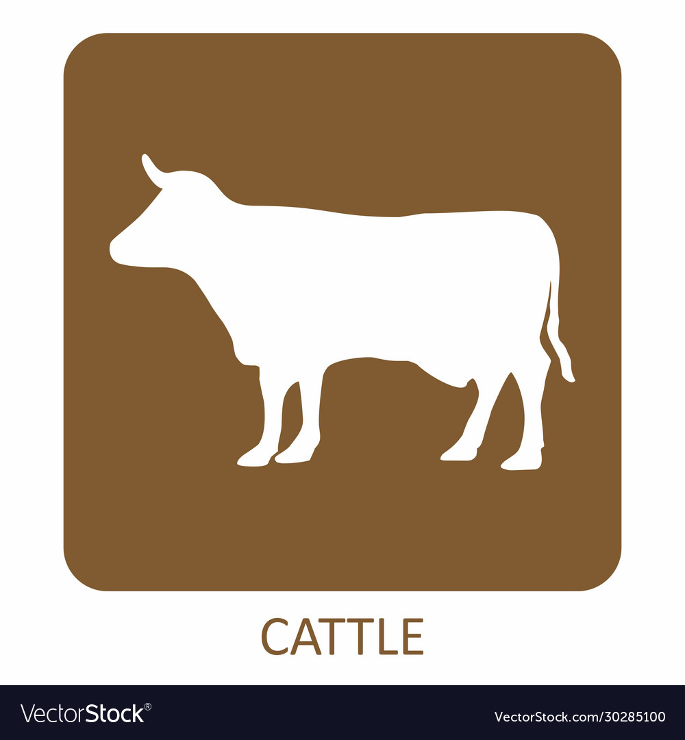 Cattle colorful icon