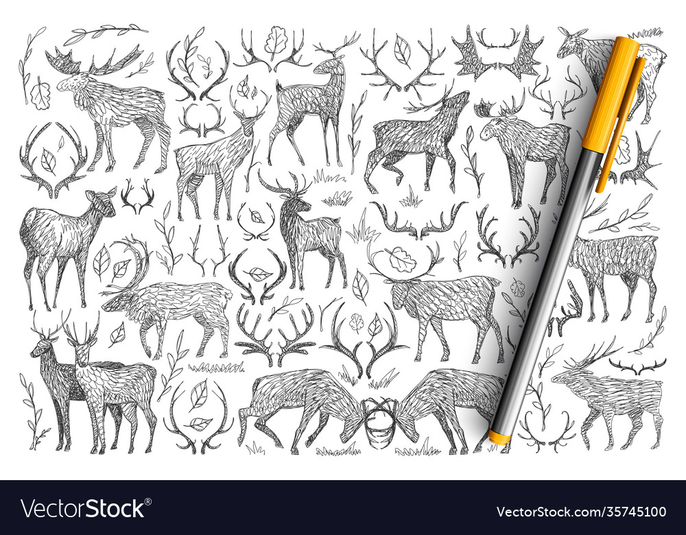 Forest wild deers doodle set