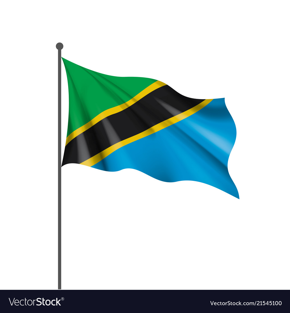 Tanzania flag on a white Royalty Free Vector Image