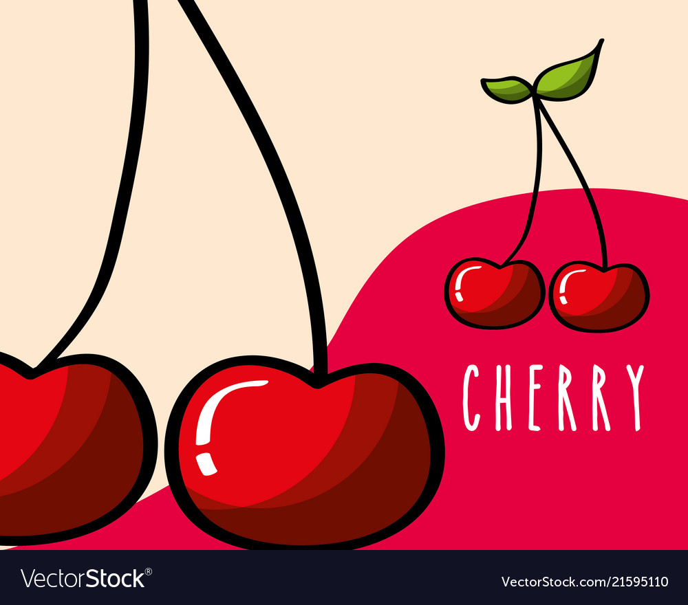 Kirschen Frucht tropischen frischen natürlichen auf farbigen vector image Kirschen Frucht tropischen frischen natürlichen auf farbigen