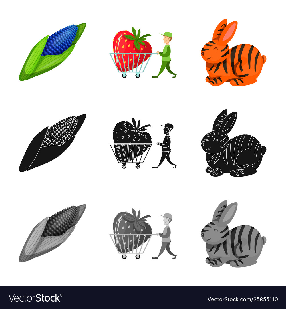 Isolated object test and synthetic logo set vector image Isolated object test and synthetic logo set