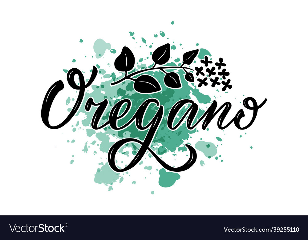 Oregano black creative word on green background Vector Image