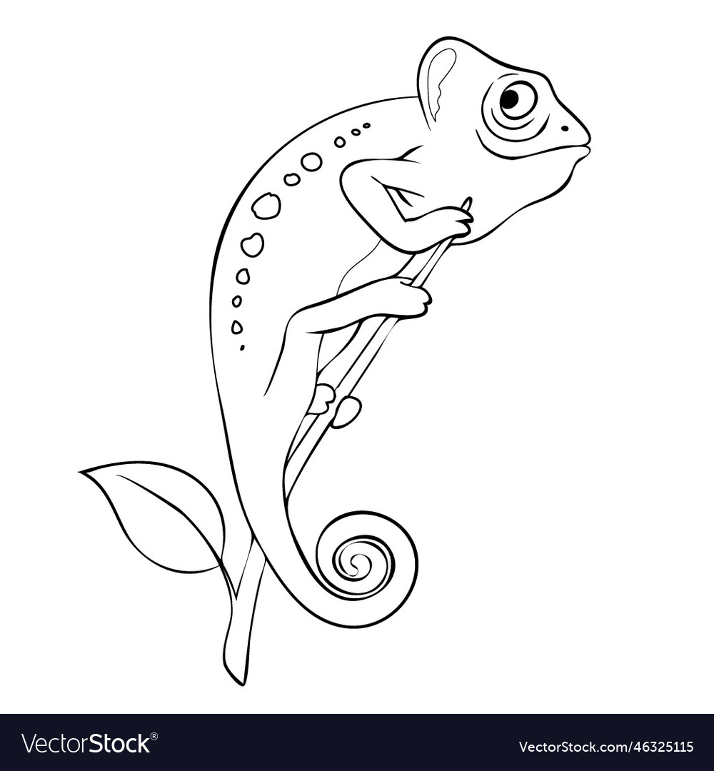 Cute chameleon on the branch coloring book page Vector Image