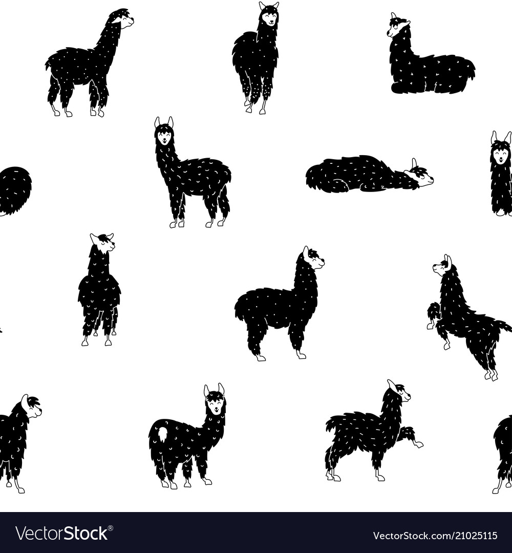 Seamless pattern with llama vector image Seamless pattern with llama