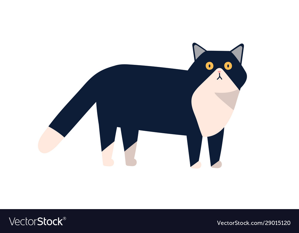 Adorable mammal domestic animal flat Royalty Free Vector