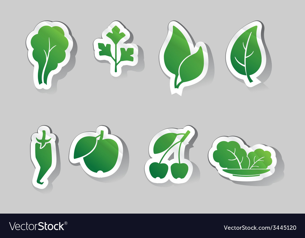 Leaves and fruit icons