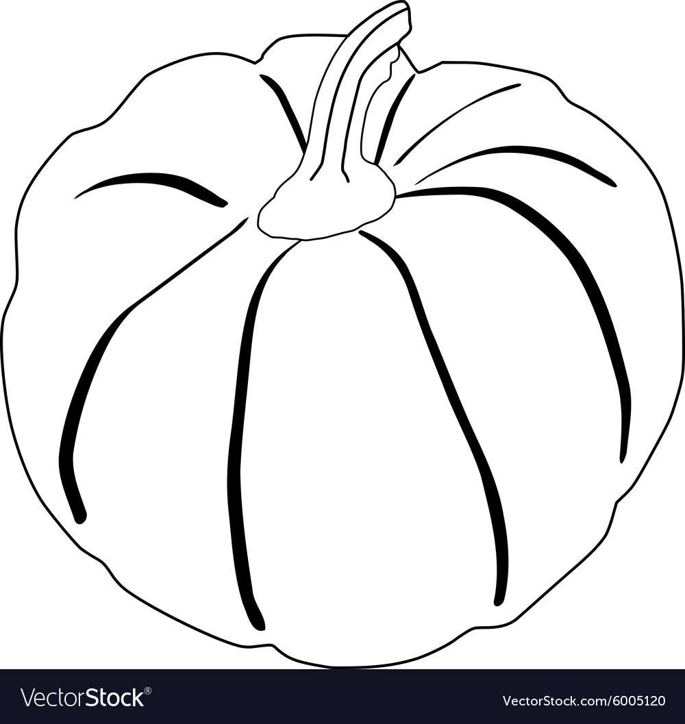 Pumpkin Royalty Free Vector Image - VectorStock