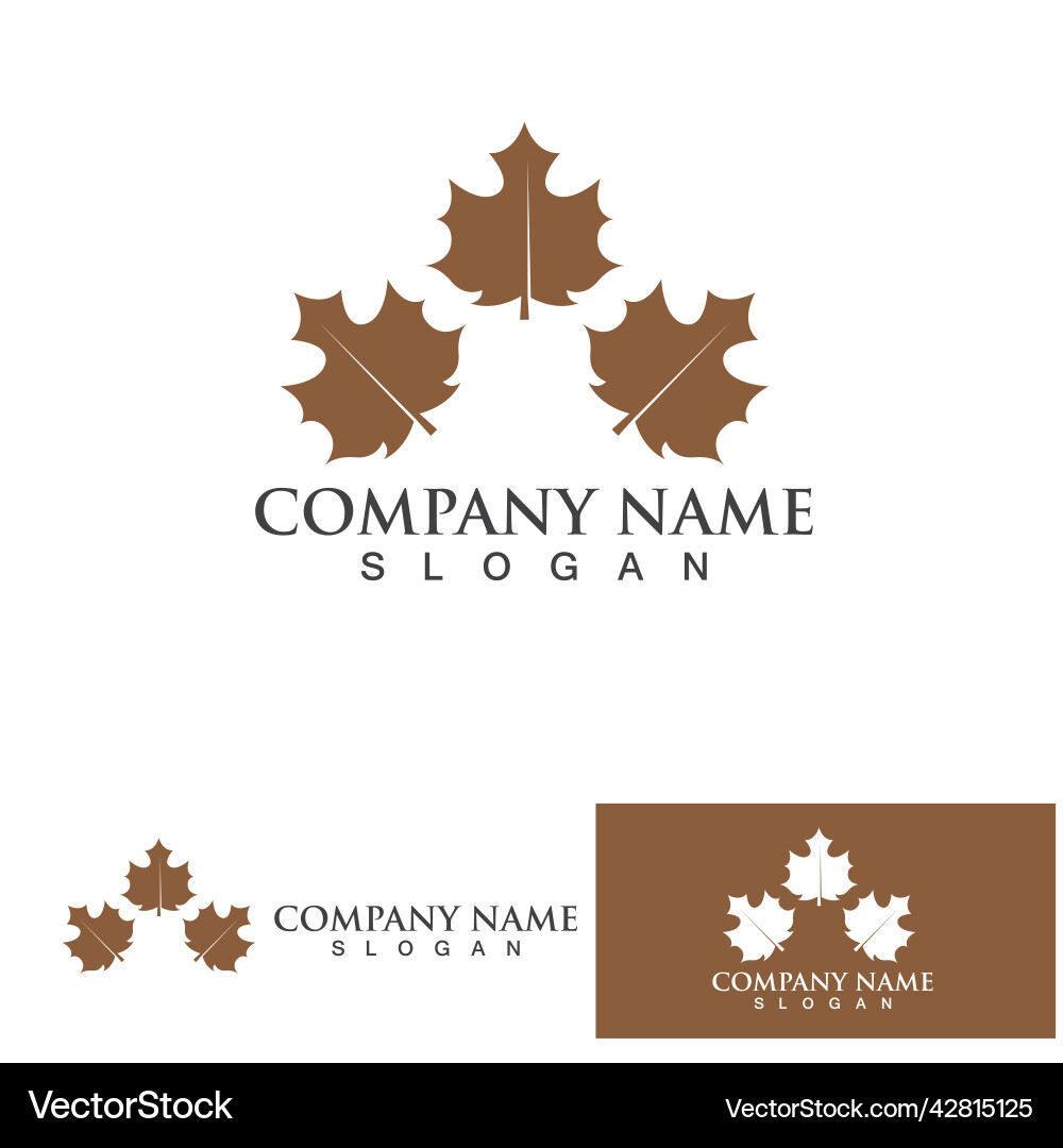 Maple leaf Royalty Free Vector Image - VectorStock