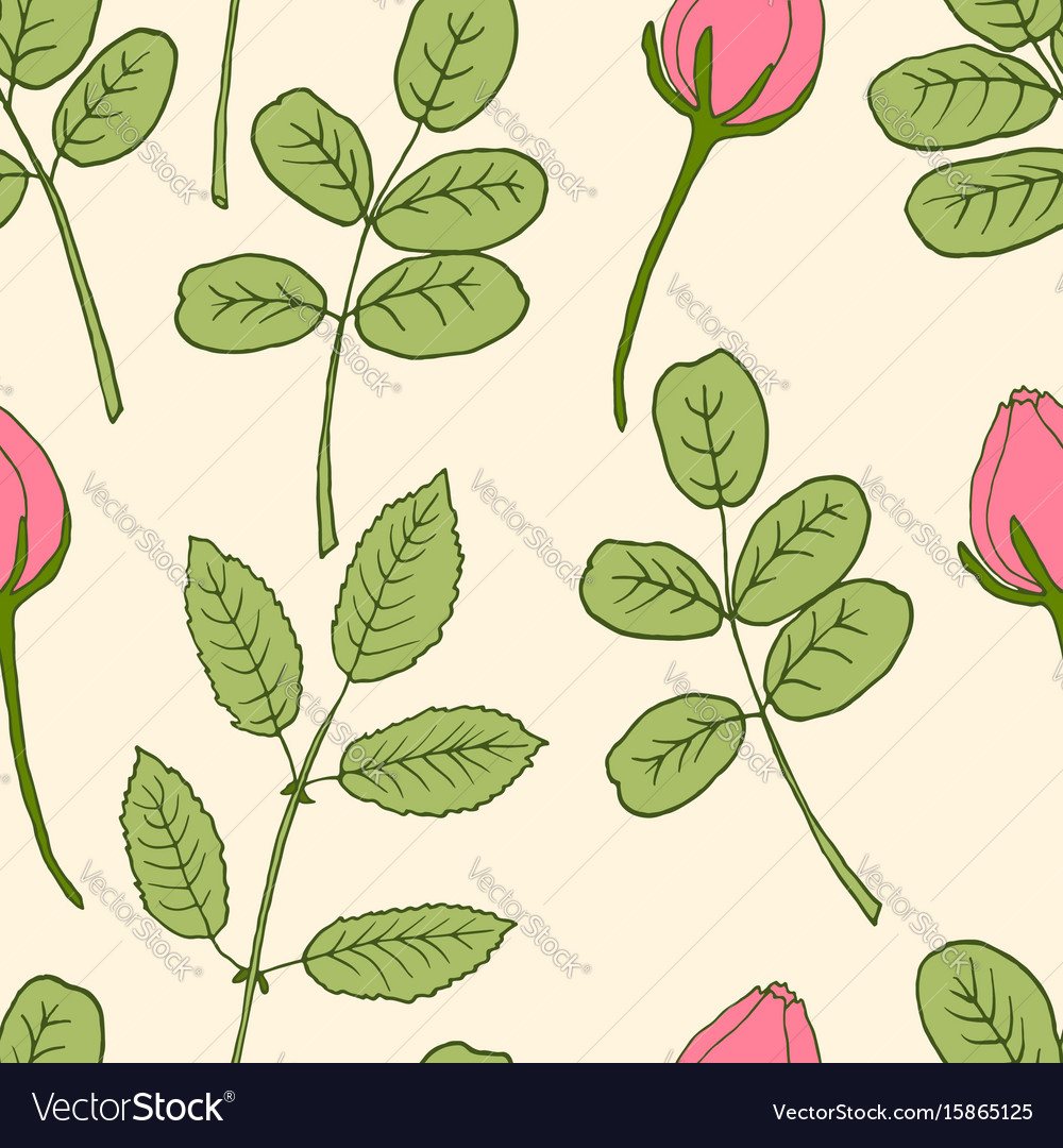 Seamless Pattern With Pink Rose Buds And Leaves Vector Image