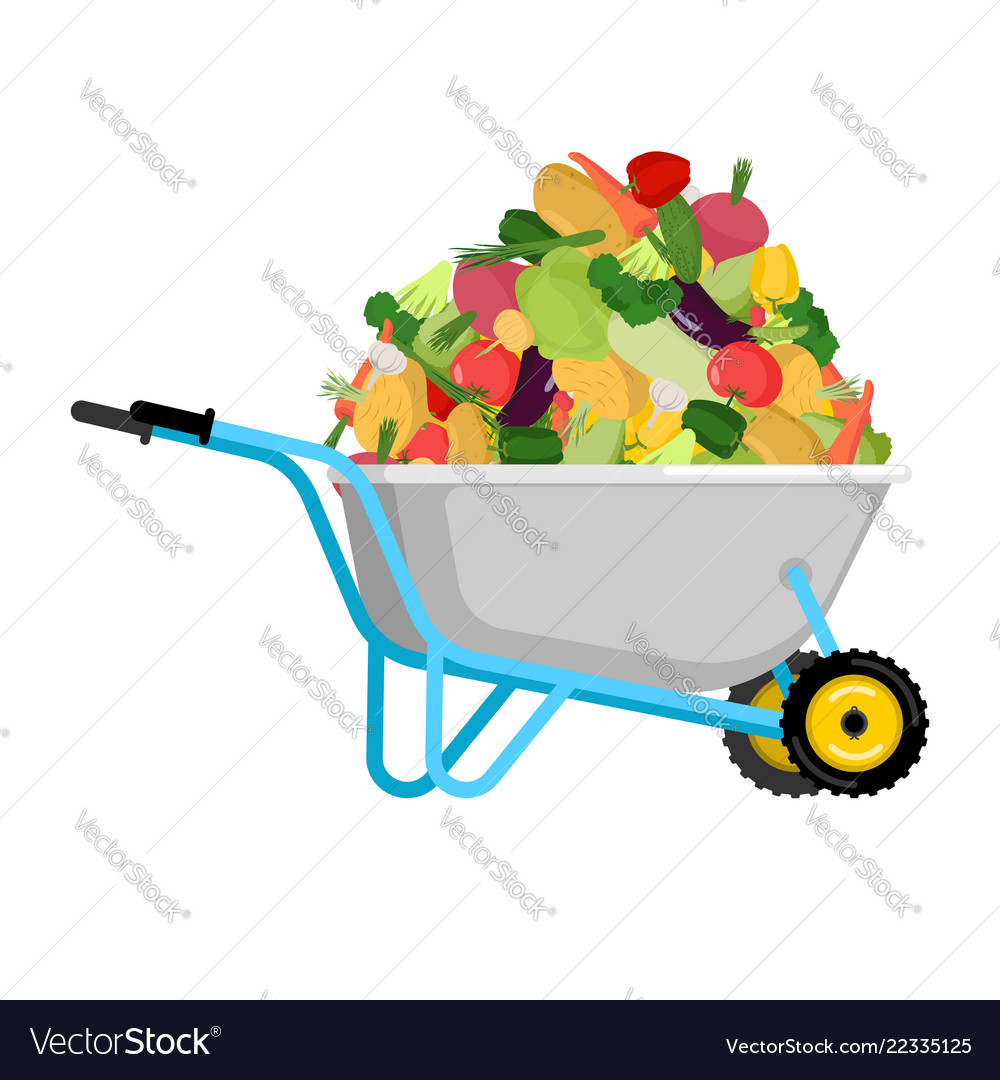 Wheelbarrow and vegetables big harvest in garden