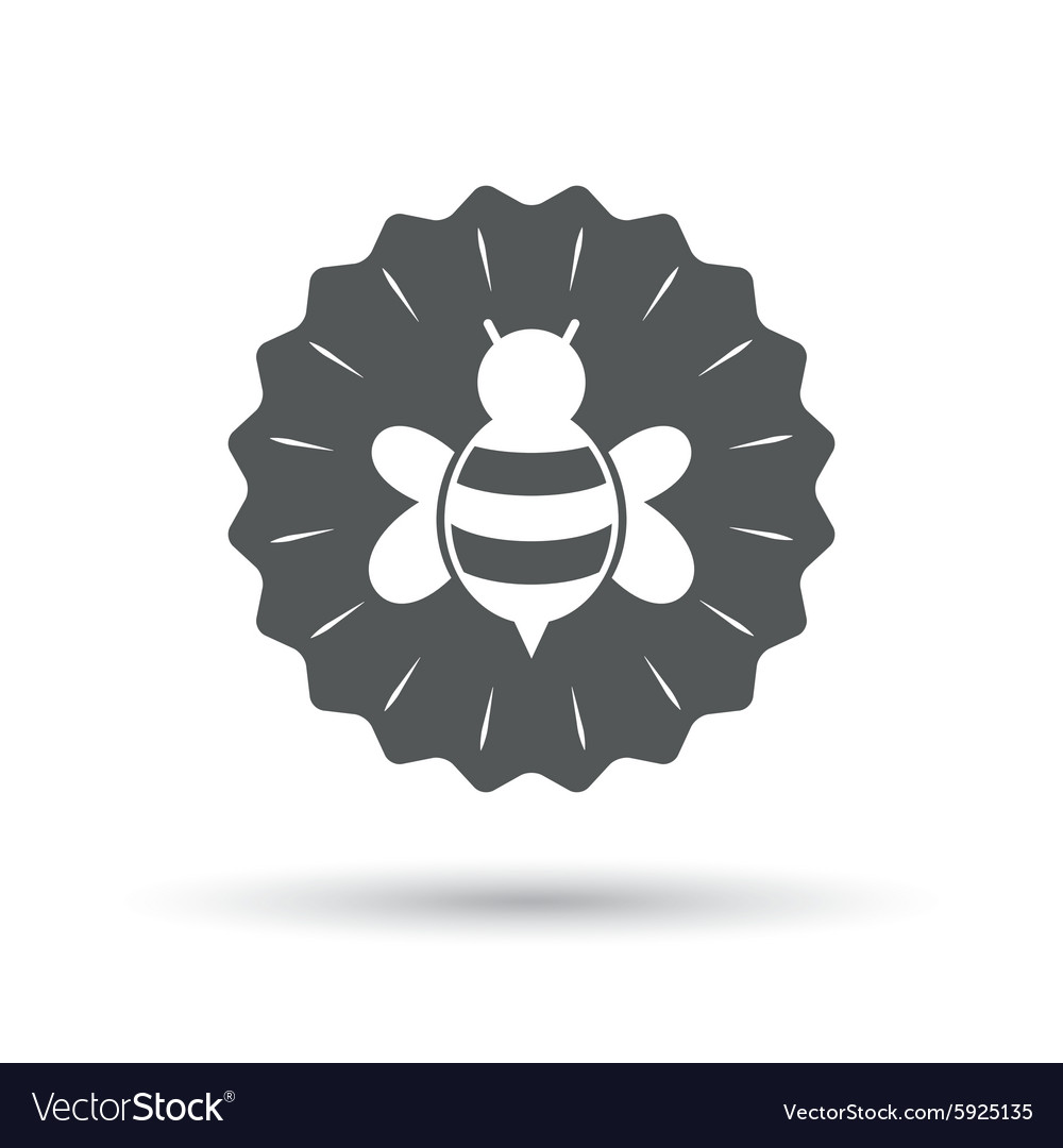 Bee sign icon honeybee or apis symbol