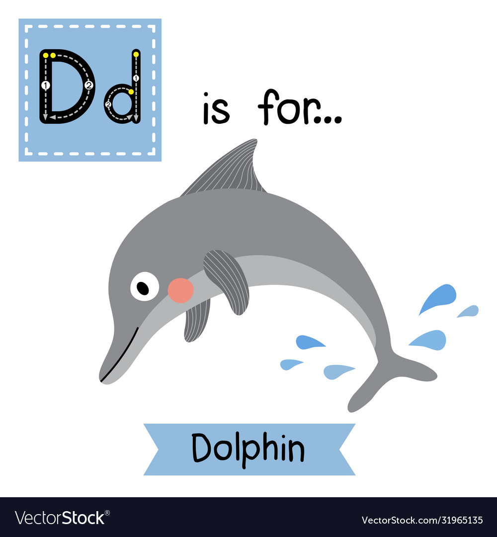 Letter D Tracing Dolphin Royalty Free Vector Image