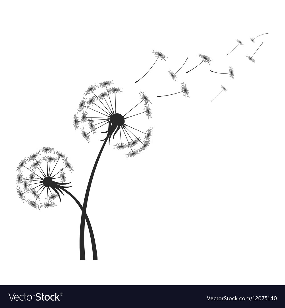 Black dandelion silhouette with wind blowing Vector Image