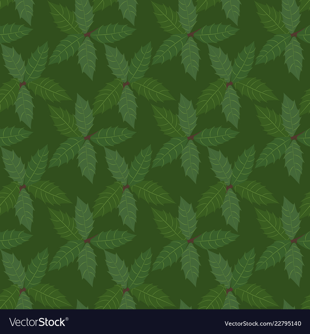Green leaves holly plant background seamless Vector Image