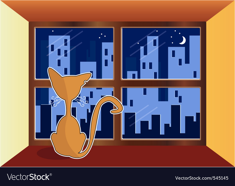 Cat in window