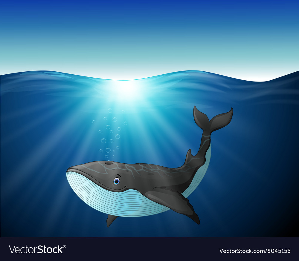 Cute whale cartoon on the sea Royalty Free Vector Image