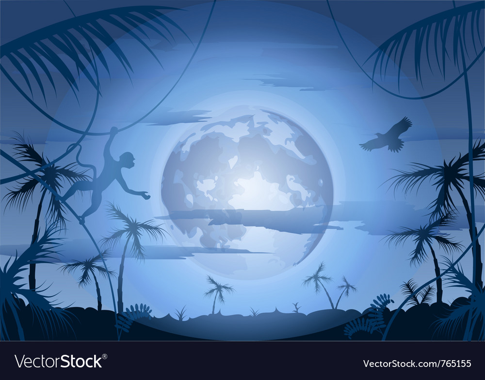 Night in jungle and moon Royalty Free Vector Image