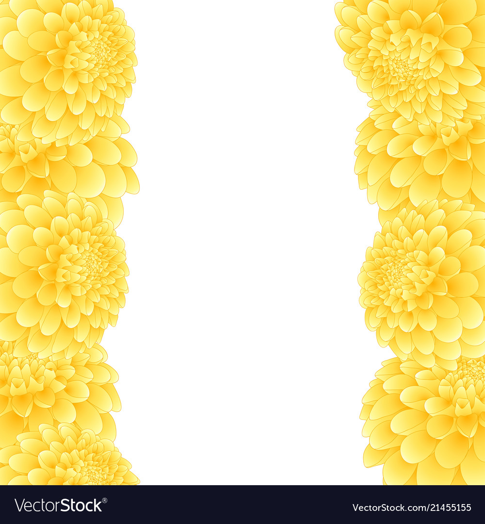 Yellow Dahlia Border Royalty Free Vector Image