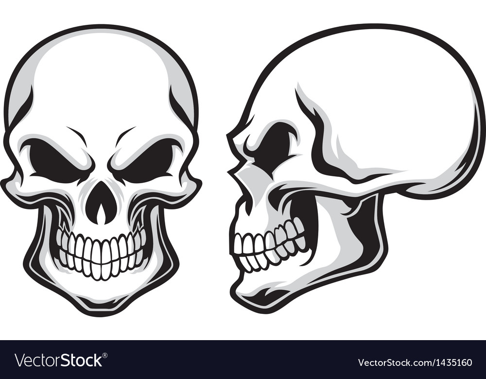 Cartoon skulls Royalty Free Vector Image VectorStock