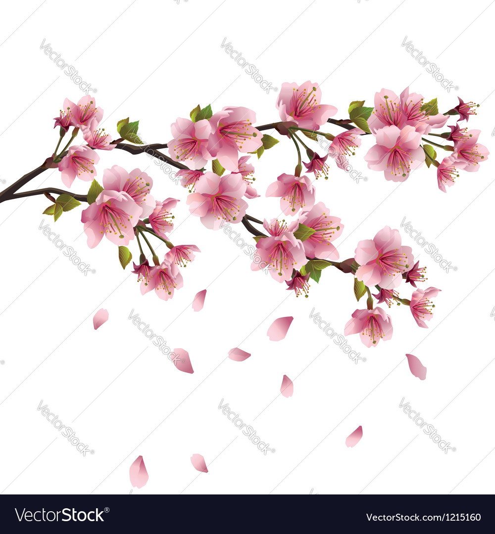 Sakura Tree Images – Browse 714,103 Stock Photos, Vectors, and