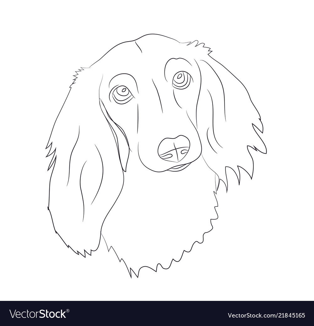 Long Haired Dachshund Coloring Pages