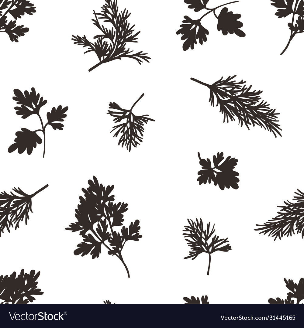 Doodle seamless pattern with parsley and dill Vector Image
