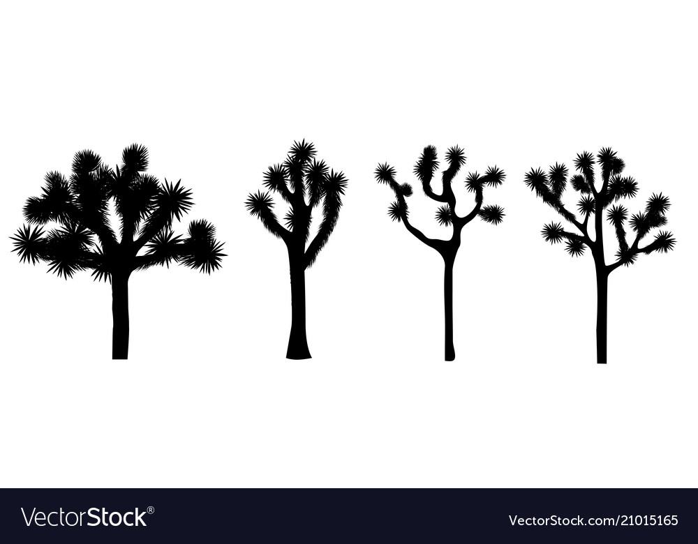 Joshua Tree Collection Royalty Free Vector Image