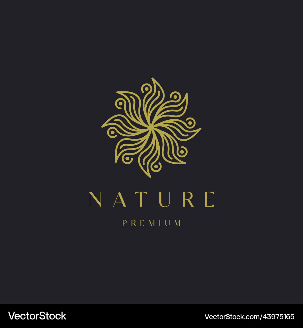 Leaf Royalty Free Vector Image - VectorStock