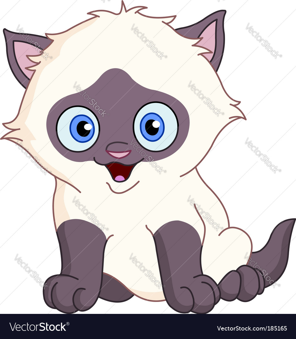 Siamese Kitten Royalty Free Vector Image Vectorstock