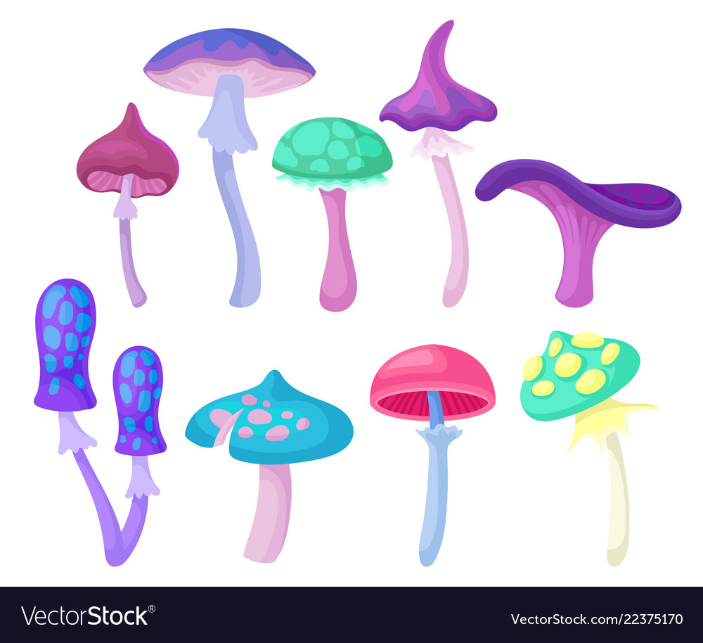Flat set of different magic mushrooms vector image Flat set of different magic mushrooms