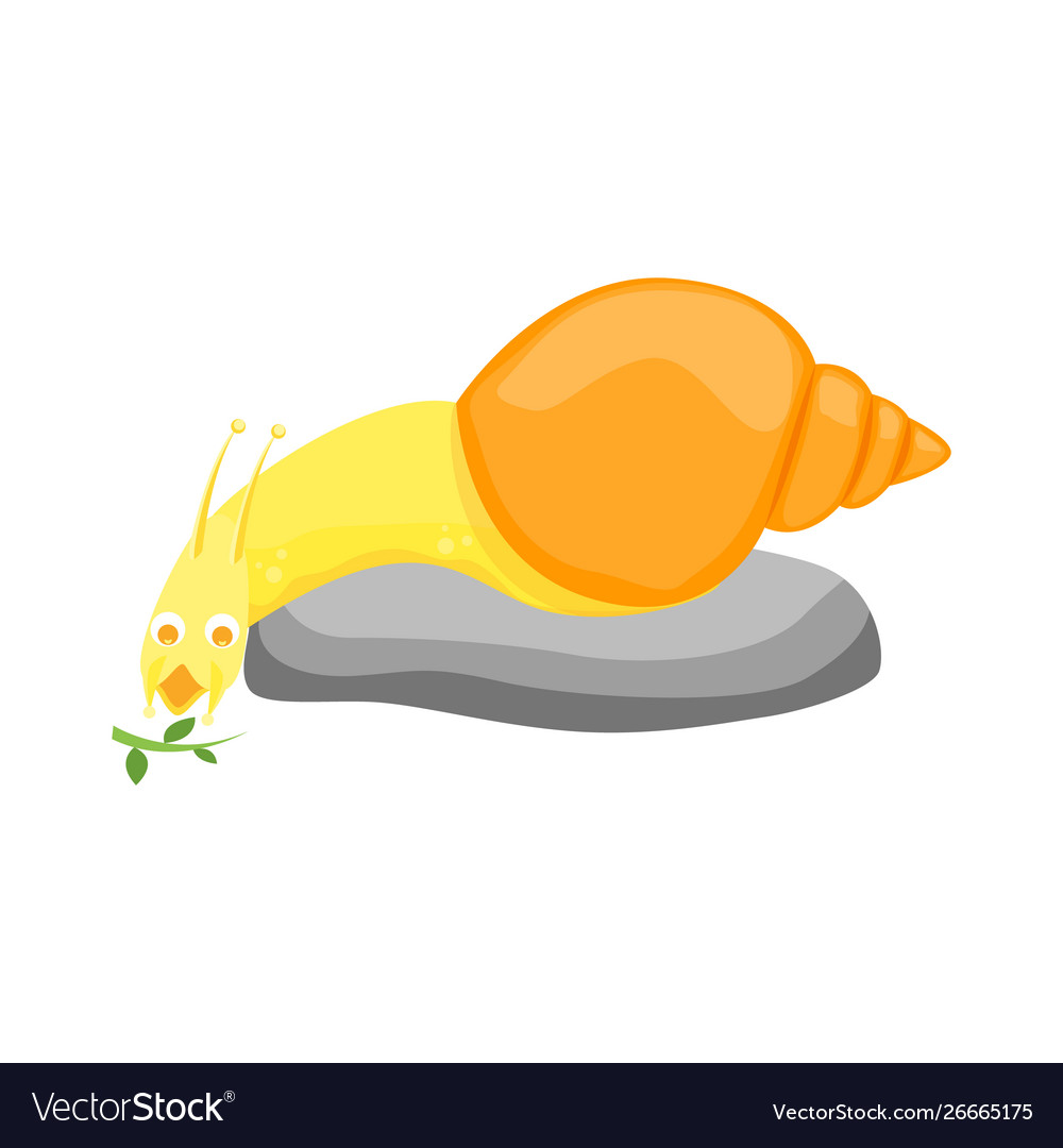 Cartoon Farbe Zeichen lustige Schnecken auf einem weißen vector image Cartoon Farbe Zeichen lustige Schnecken auf einem weißen