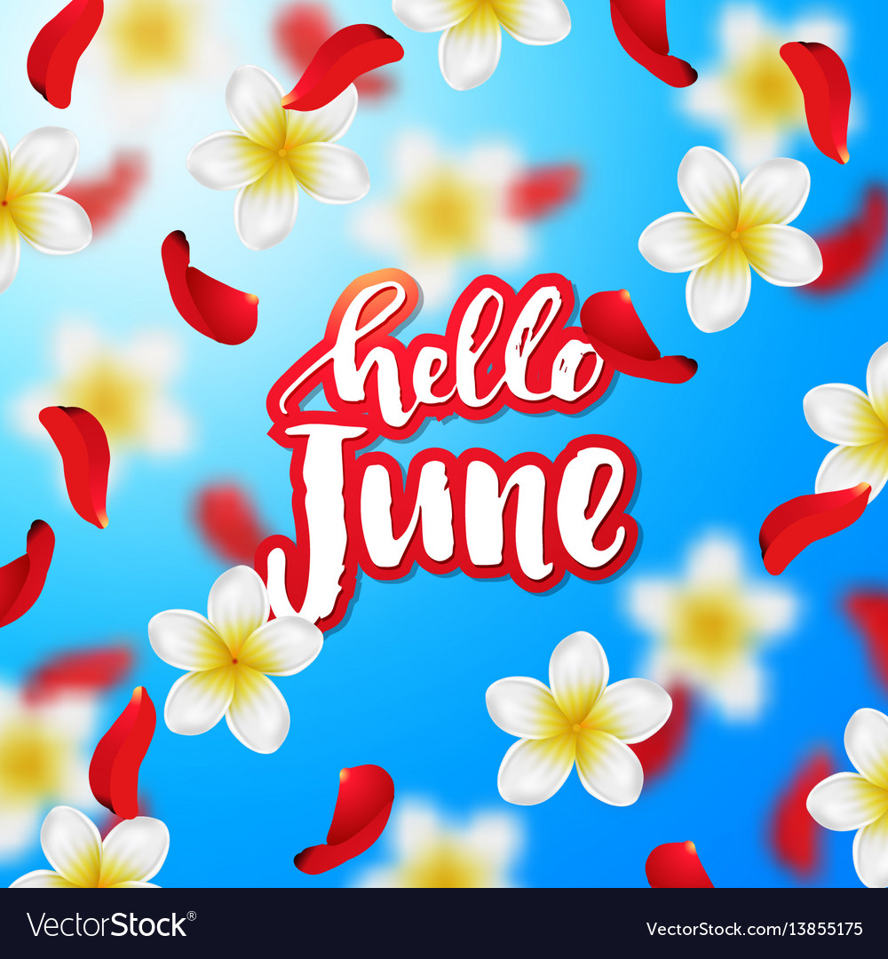 Summer or spring background with tropical flowers Vector Image