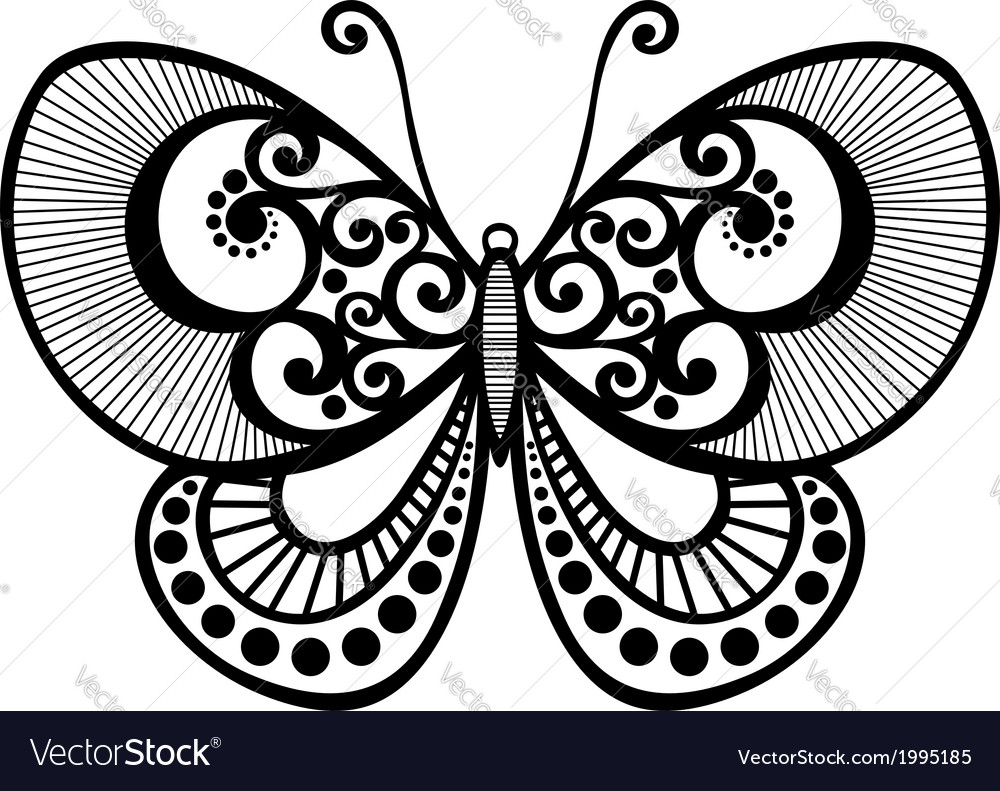 Beautiful Butterfly Exotic Insect Royalty Free Vector Image